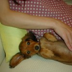 10年前のユニ♀