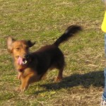 もう親ばかとしか言いようが無いｗ