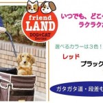 今日は娘を散歩に連れてく（ユニ♀カニヘンダックス）