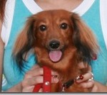 うちの娘は世界１！カニヘンダックス・・・