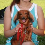 ユニ♀　カニヘンダックス