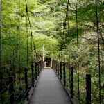 残念・・雨で高尾山中止に・・ 残念・・雨で高尾山中止に・・