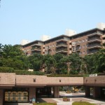 白熱電球から蛍光灯電球　でこれからはLED電球？