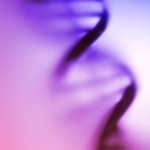 電磁波に体を付けて約10年!(笑)開き直る! 電磁波に体を付けて約10年!(笑)開き直る!