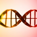 携帯に発がんリスク？この俺はどうなる？(笑)