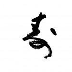 HAPPY NEW YEAR 2012 HAPPY NEW YEAR 2012