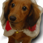 東京2度!寒いわけだ・・ 東京2度!寒いわけだ・・