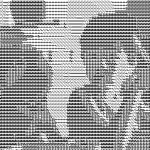 あの日から1年・・・・ あの日から1年・・・・