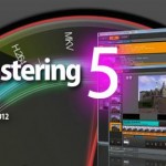 高精度映像ノイズ除去ってブロックノイズなくなるんだな